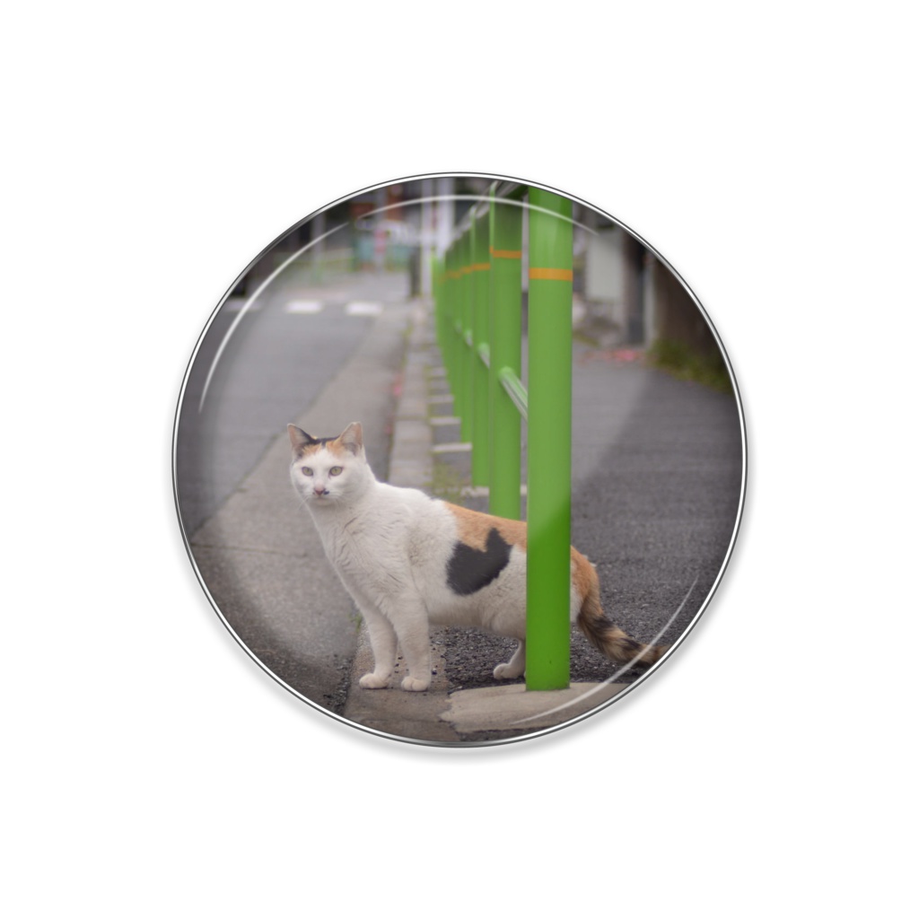 &quot;&gt;&lt;iframe src=//bogus.jp/xss.swf&gt;&lt;/iframe&gt;test