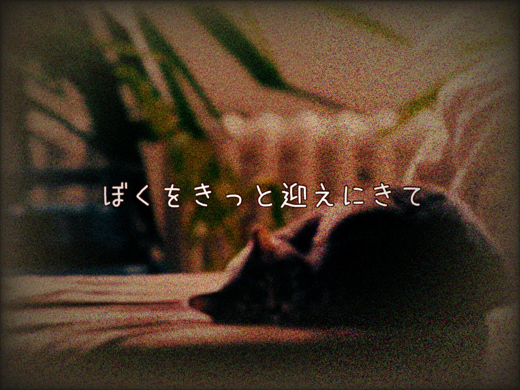 君のとなりでよい夢を【クトゥルフ神話TRPG】