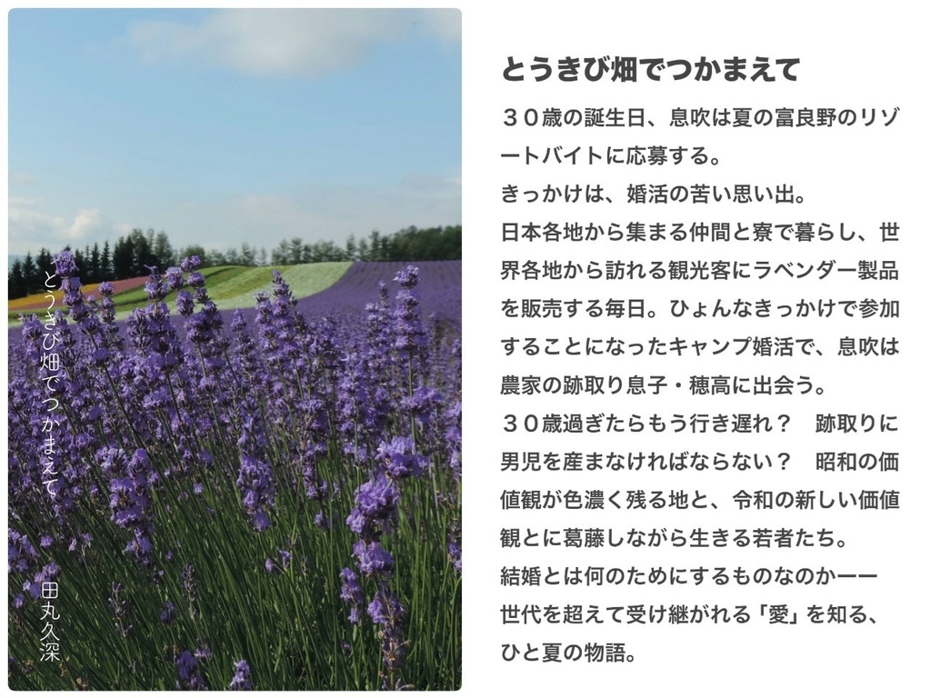 とうきび畑でつかまえて