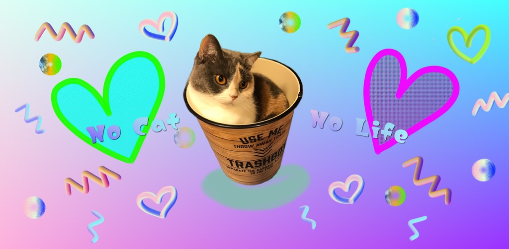 にゃんこのあんちゃん