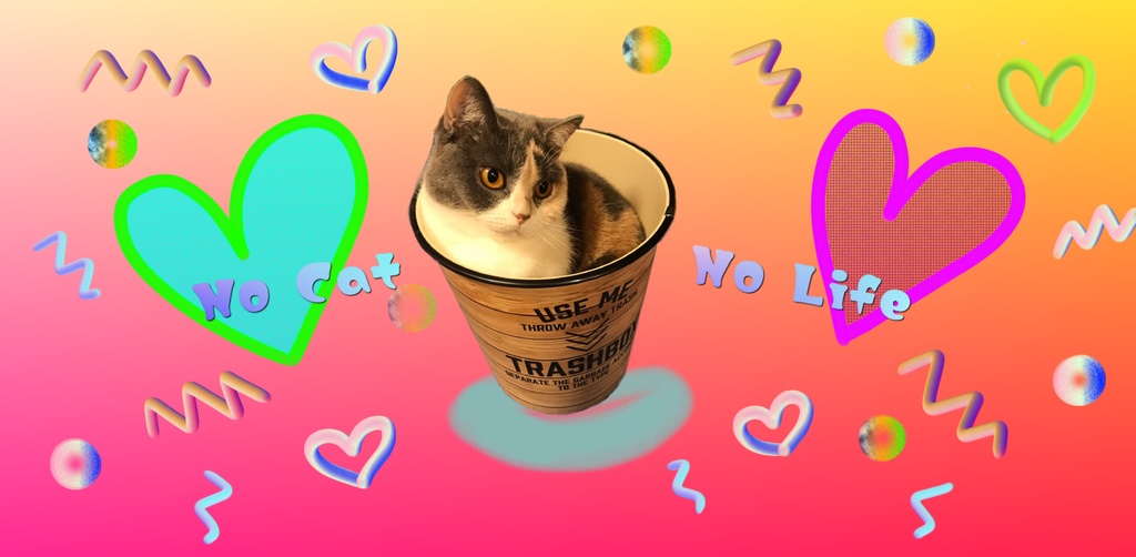 にゃんこのあんちゃん