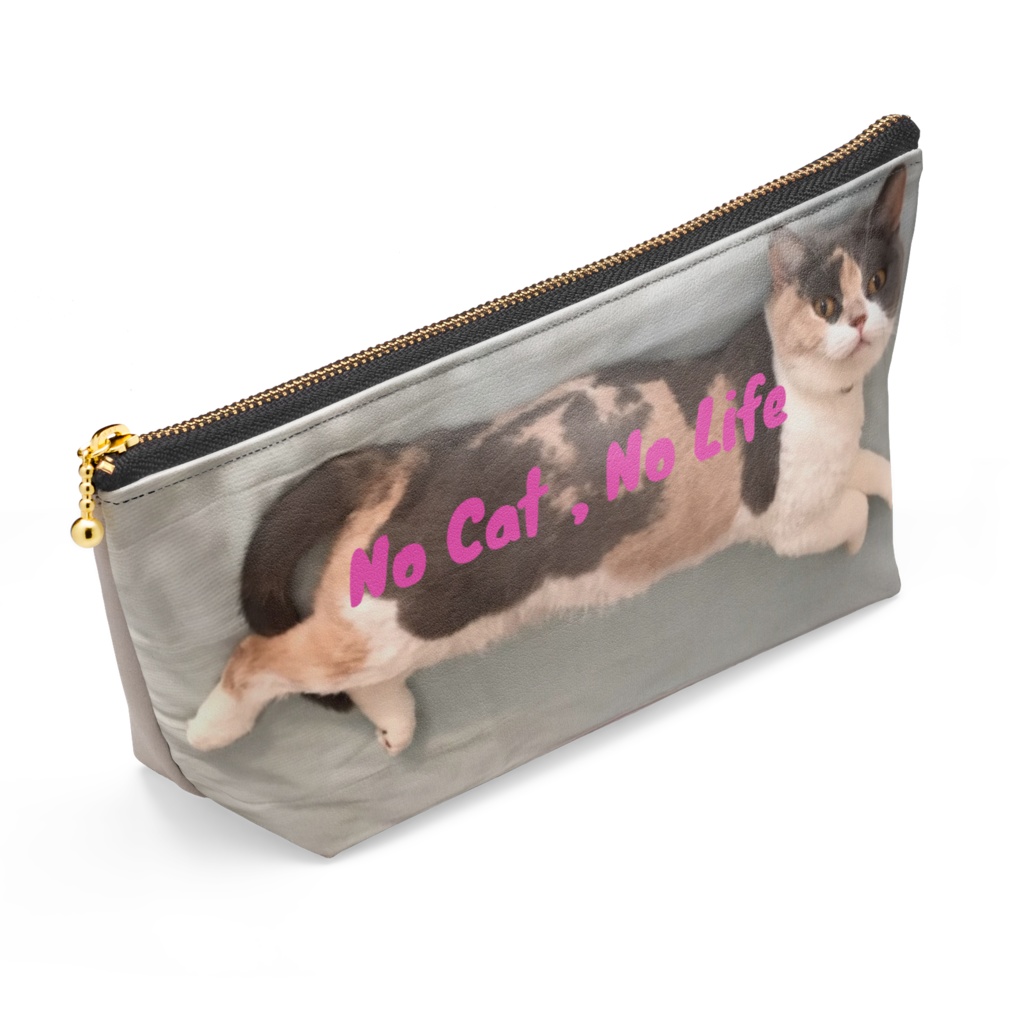 にゃんこのあんちゃん