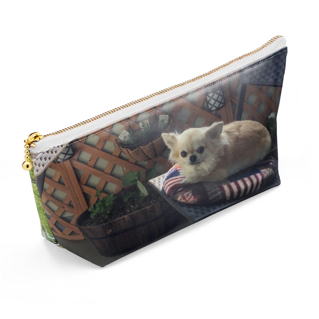 チワワのいろはさん