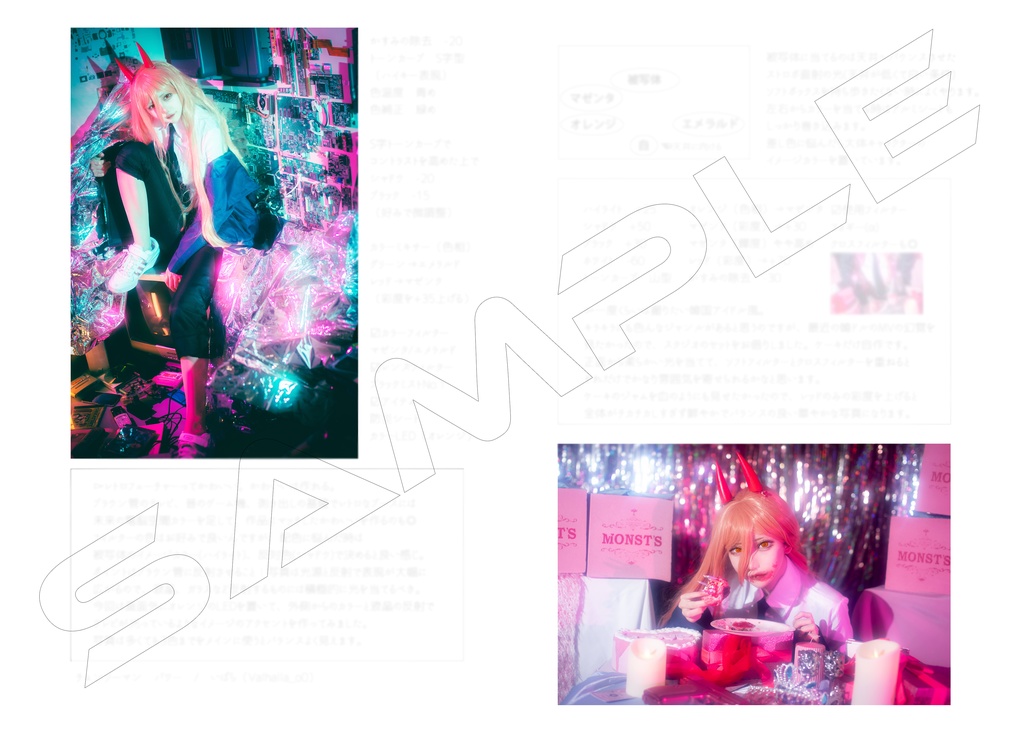 写真解説本【机上論】