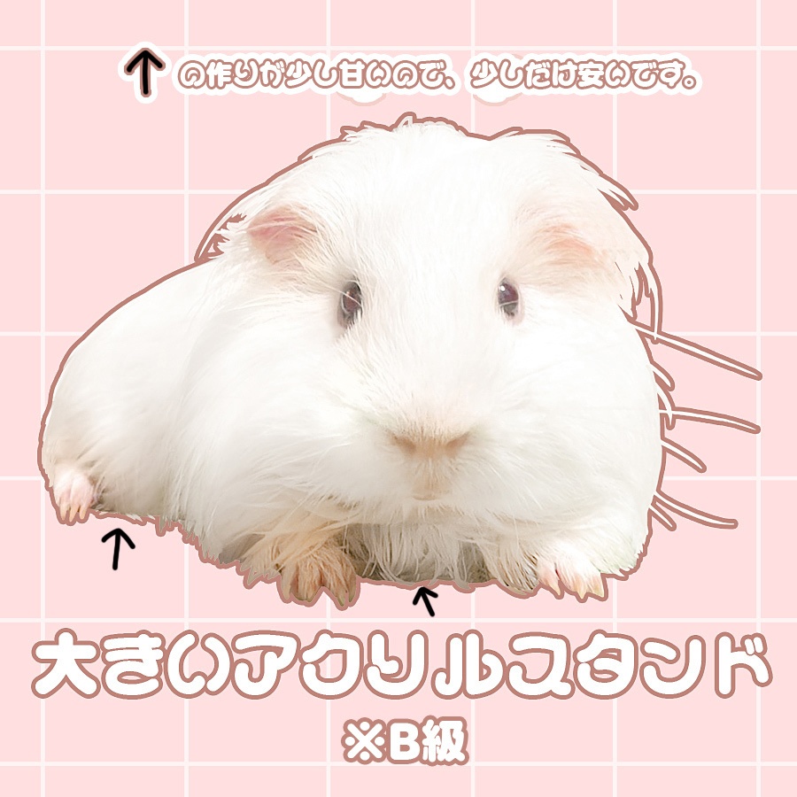 大きいアクリルスタンド B級