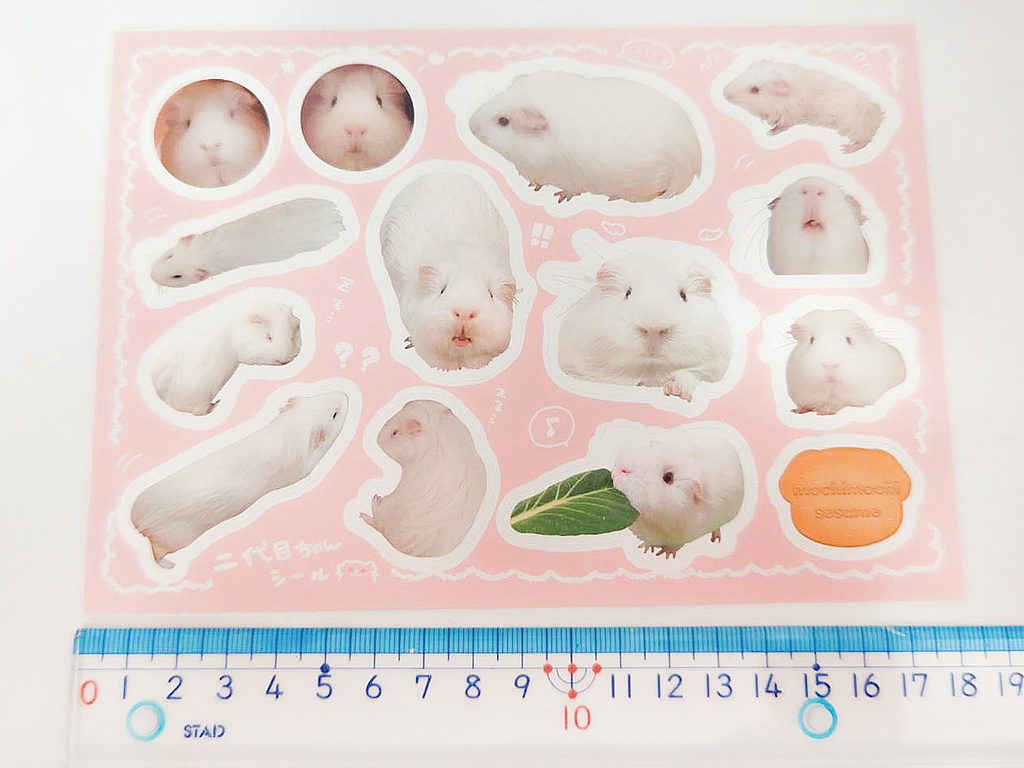 B6カットシール