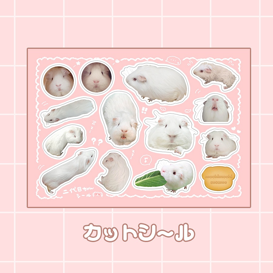 B6カットシール