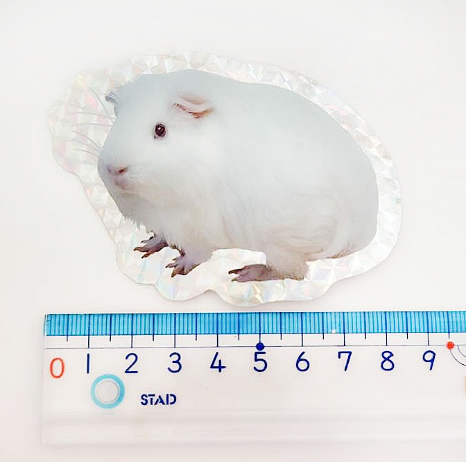 キラキラシール