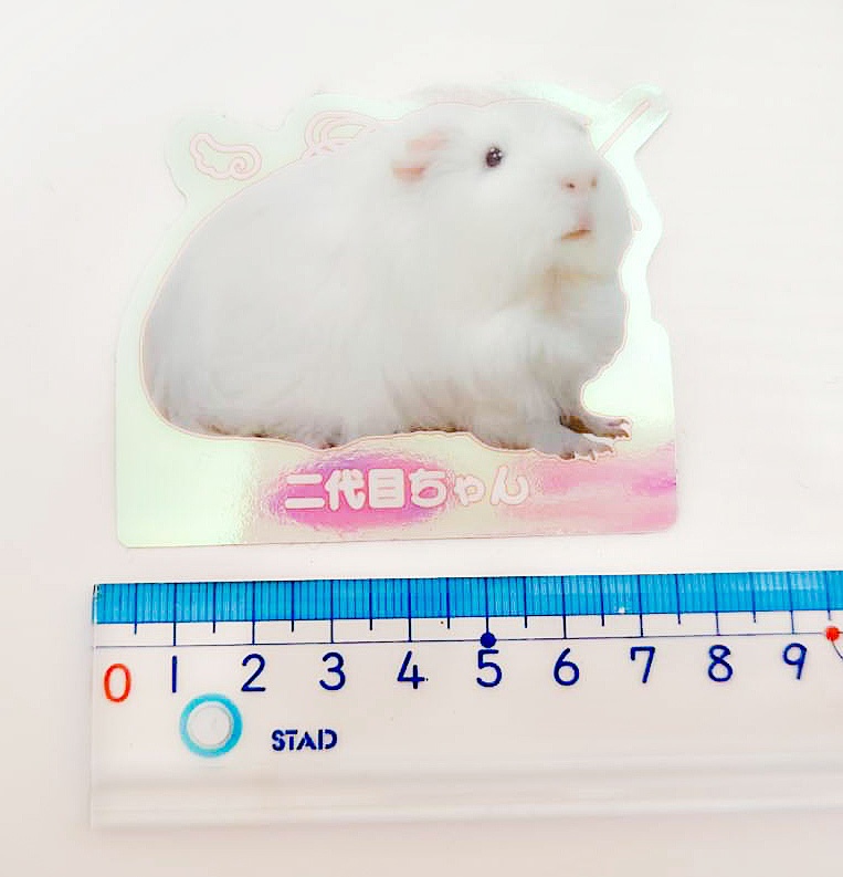 オーロラシール