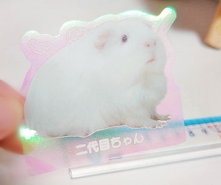 オーロラシール