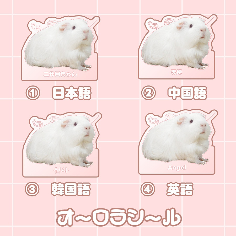 オーロラシール