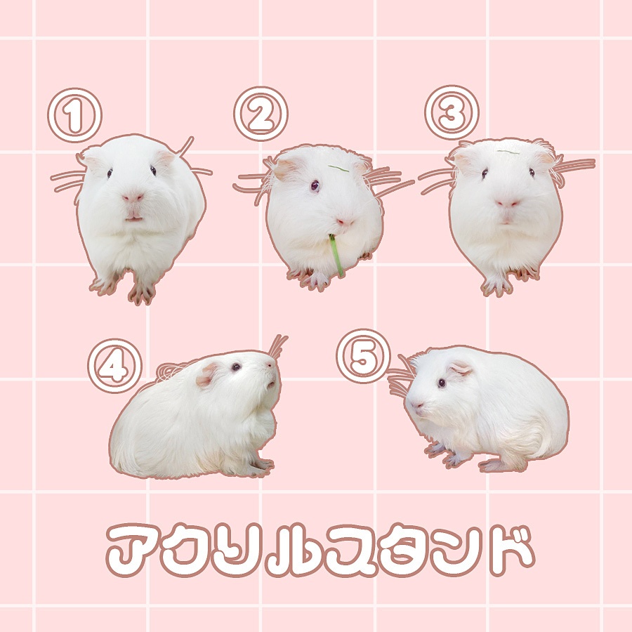 アクリルスタンド