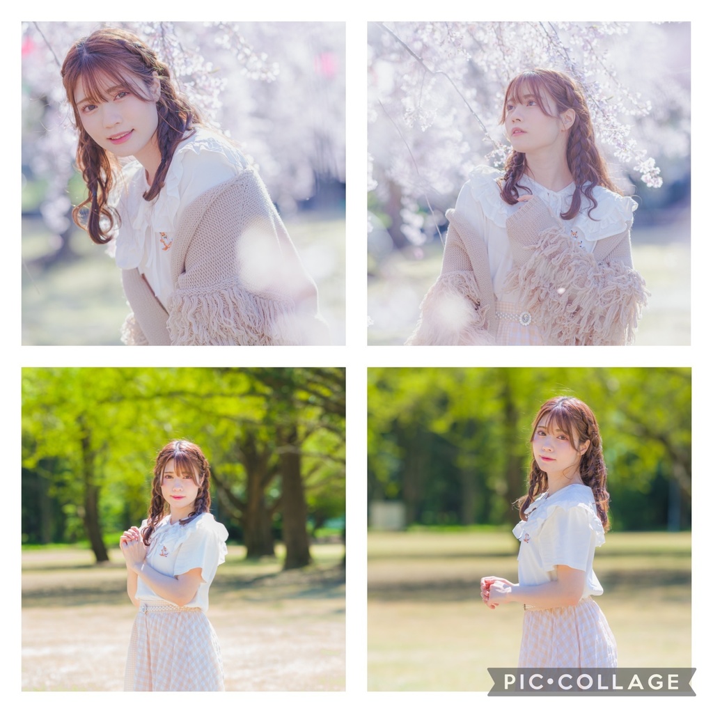 桜ブロマイドその2