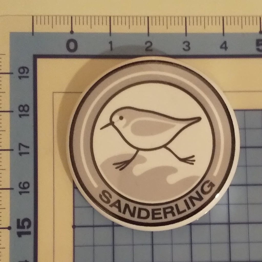 ミユビシギ缶バッチ