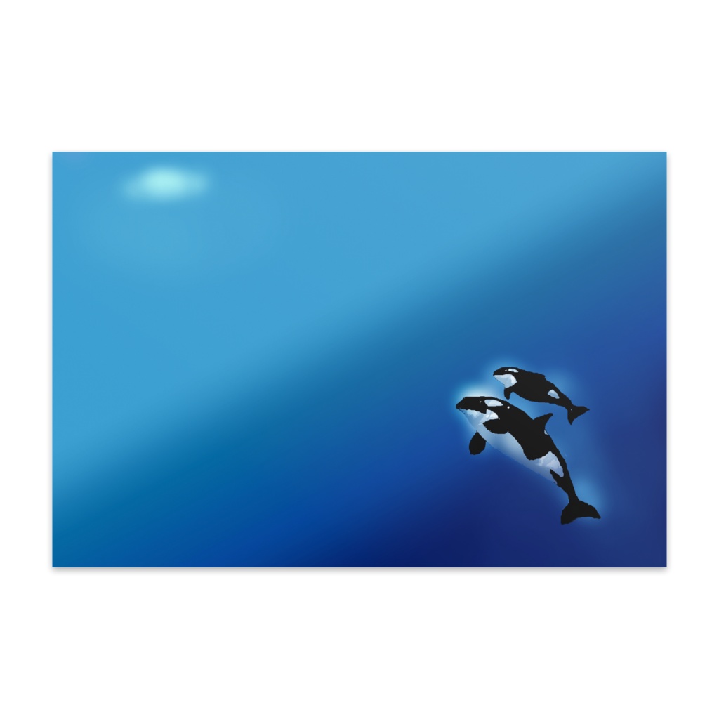 ハガキ　オルカ