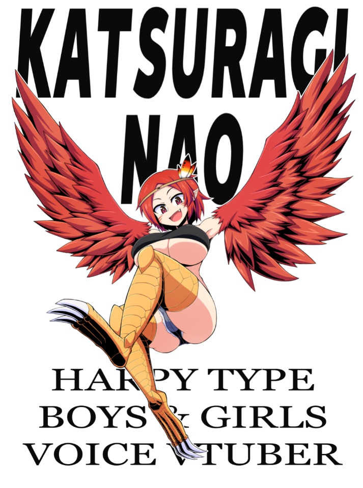 ホワイトハーピー葛城の白Tシャツ