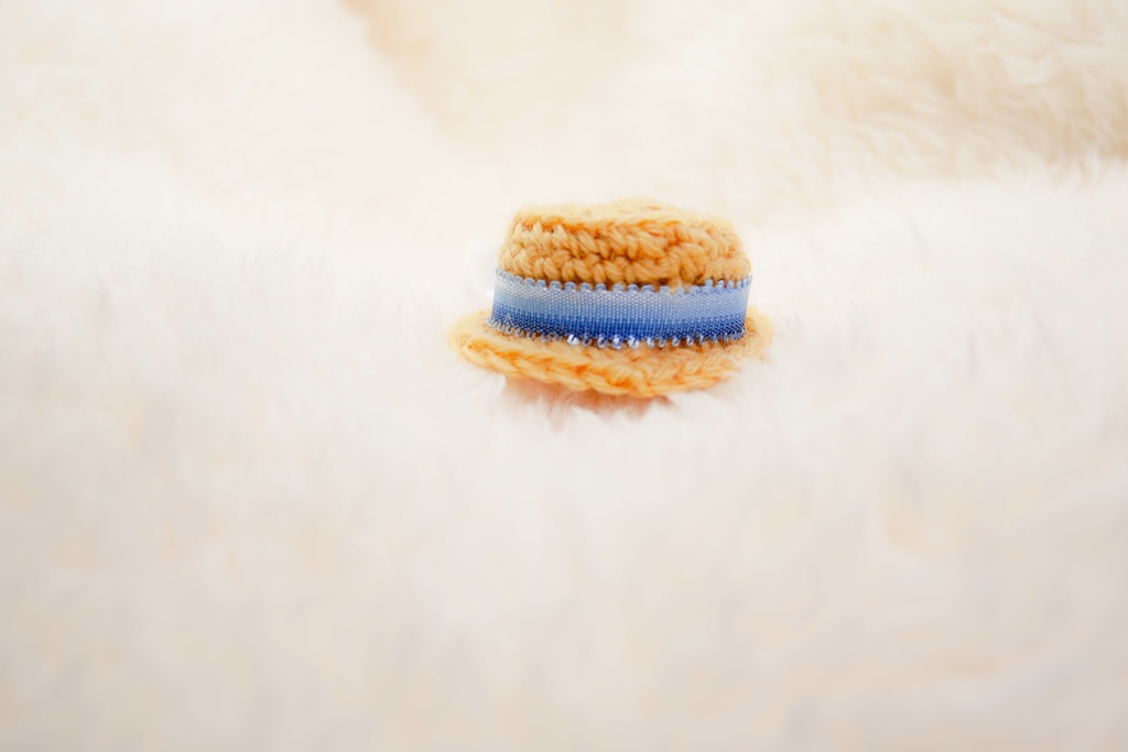 おもちのカンカン帽(術クーフーリンモチーフ)