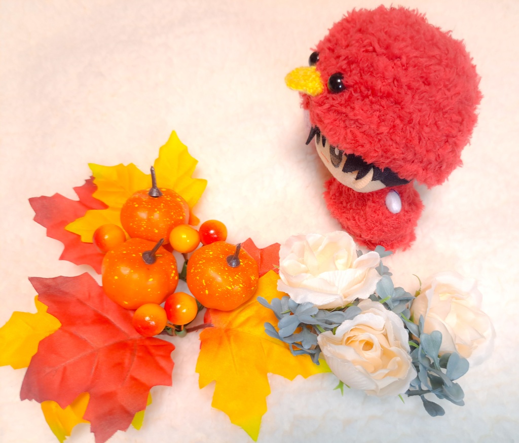 赤い雛鳥さんセット