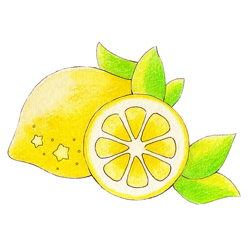 レモンのアナログイラスト