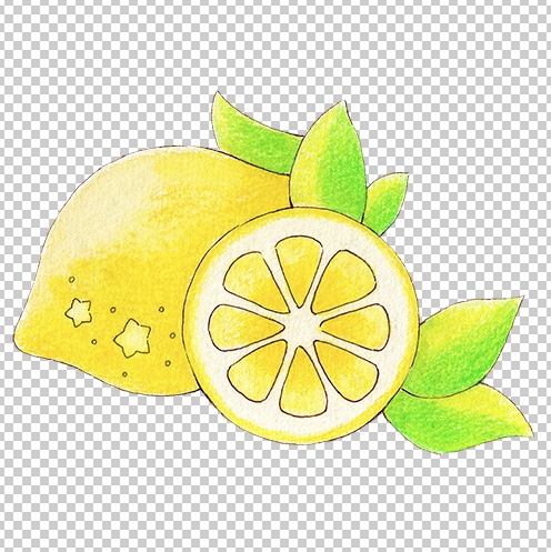 レモンのアナログイラスト
