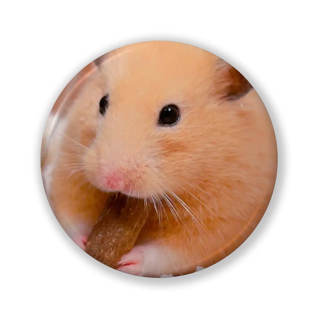 ぽぽちゃん缶バッジ