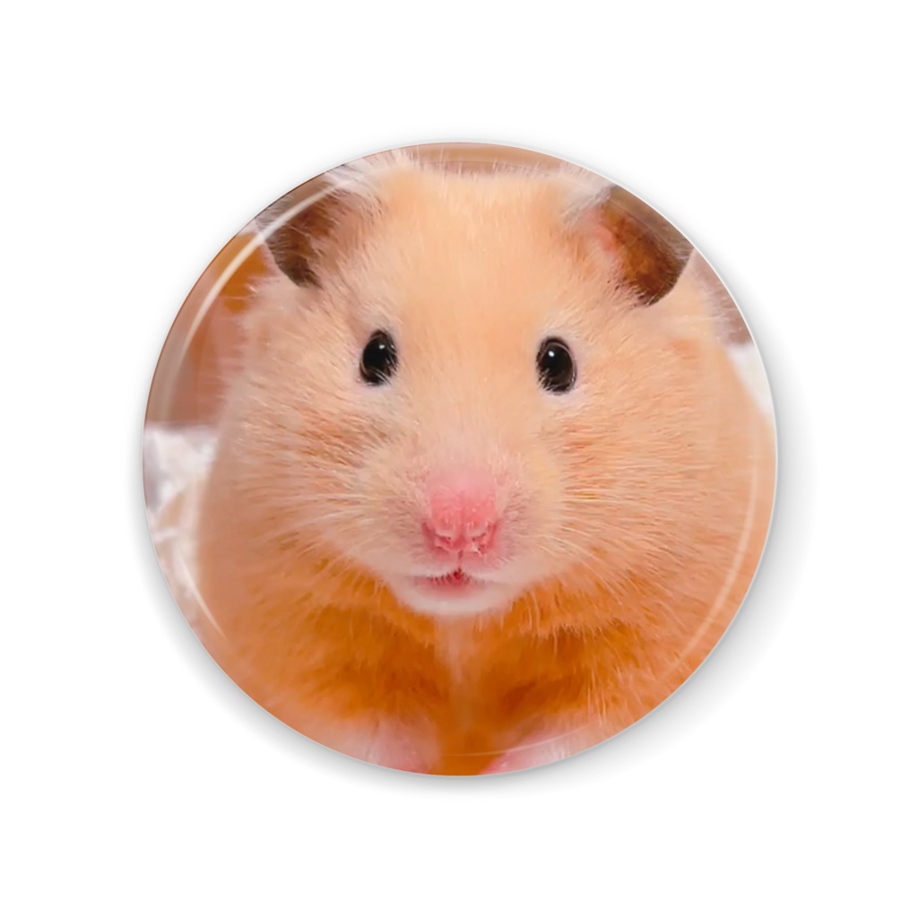 ぽぽちゃん缶ミラー