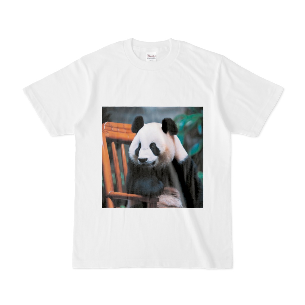 Panda sitting on a chair(椅子に座るパンダ)