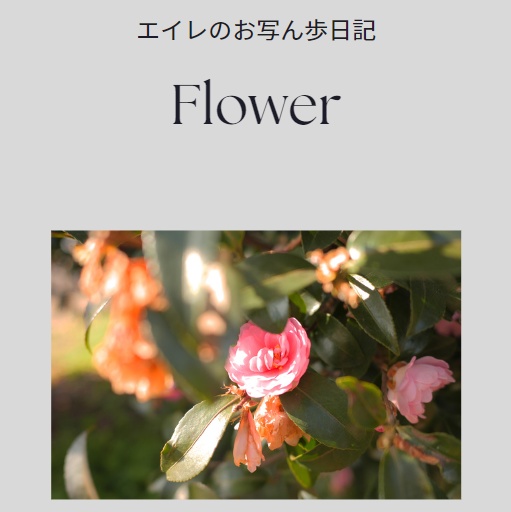 Flower ～エイレのお写ん歩日記～