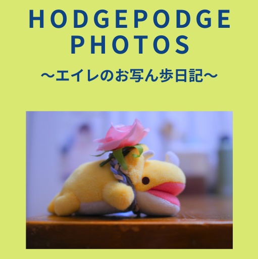 HODGEPODGE PHOTOS ～エイレのお写ん歩日記～