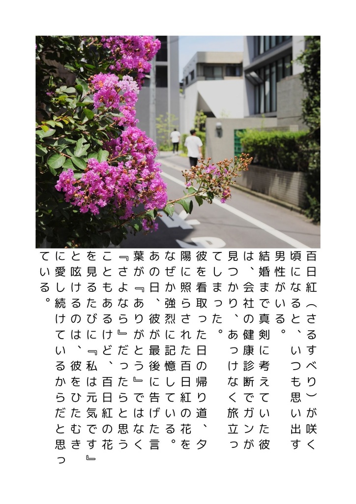 叙情的写真表現・4