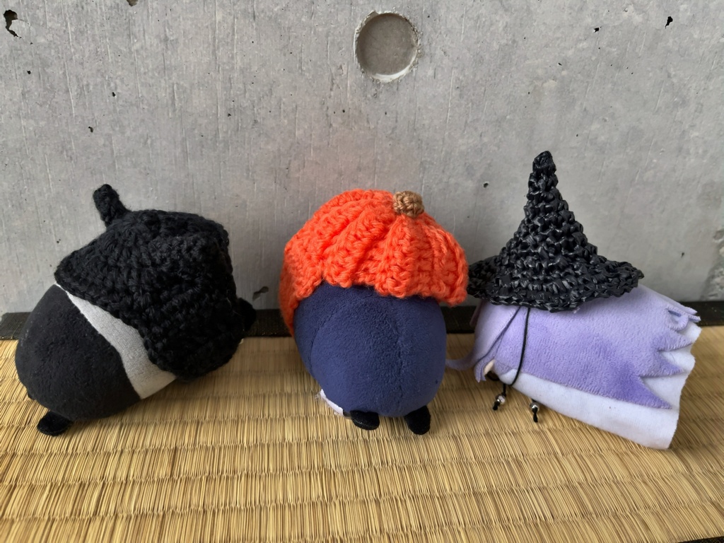 カボチャモンスターと黒猫頭巾と魔女帽子