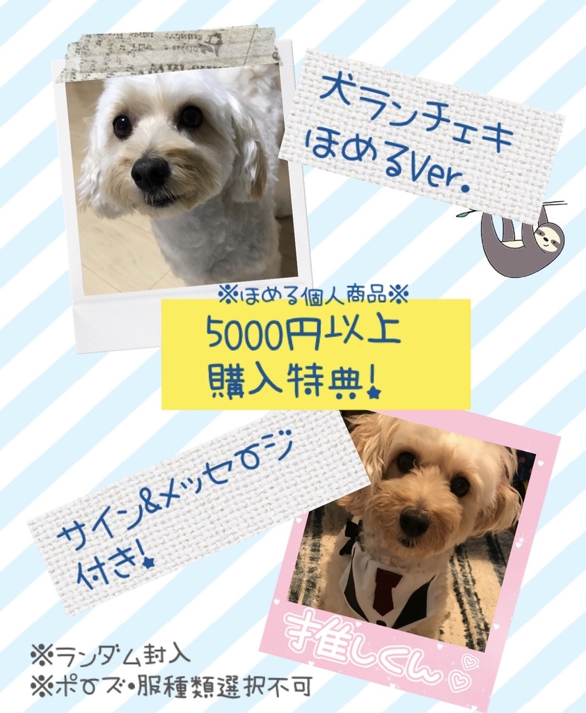 ソロチェキ・ほめる(衣装)