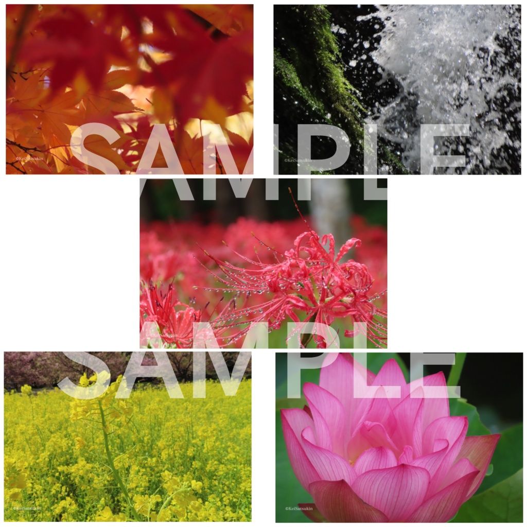 四季の風景ポストカード①(5枚セット)