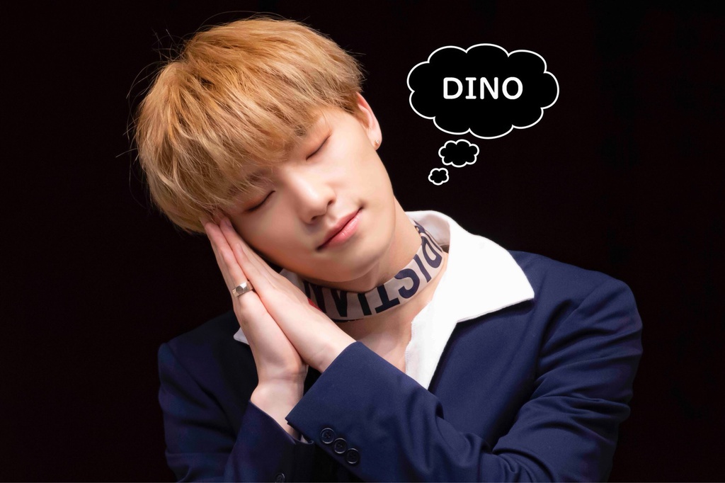 DINO ブランケット 〜A ver.〜