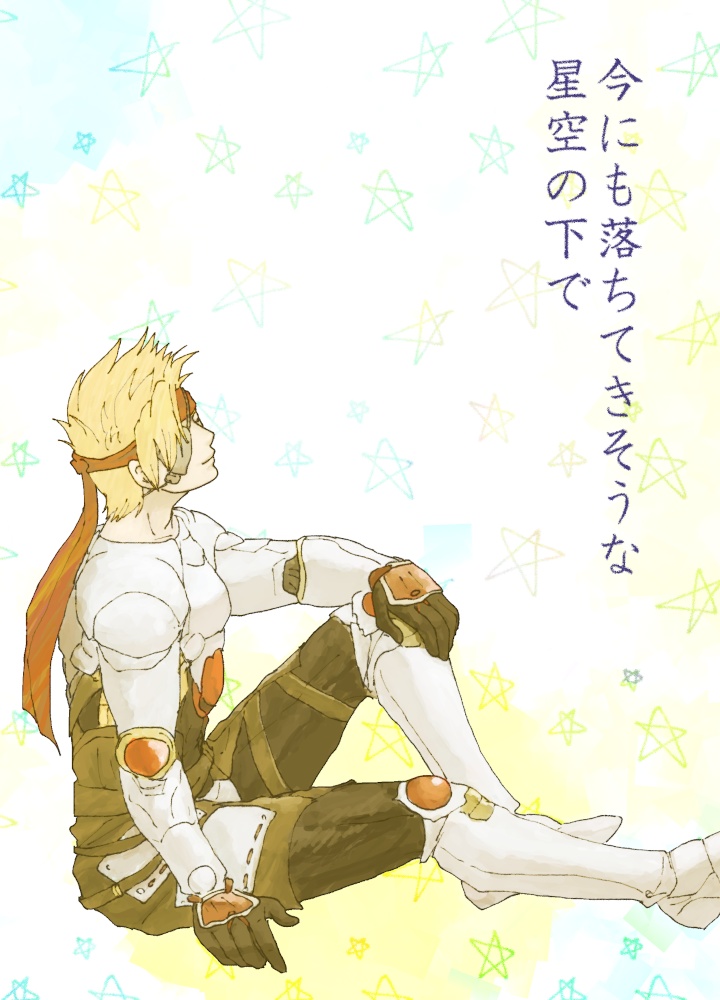 今にも落ちてきそうな星空の下で