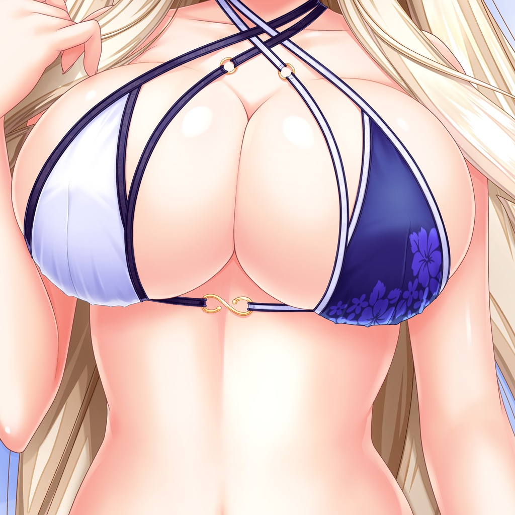 ロングタペストリー シルヴェリアビキニコーデ(2023年11月booth専売品)