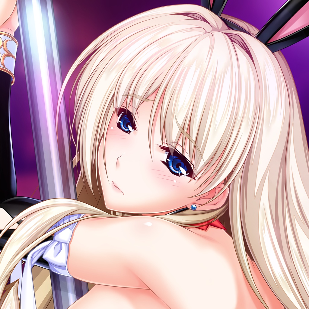 B2タペストリー バニコレSP シルヴェリア PDver.(着衣)(分割パイプ)【最終ご奉仕価格】