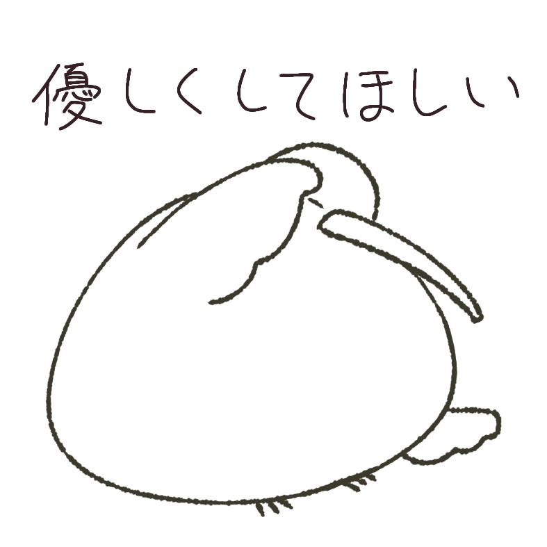 ふざけているキーウィ パーカー(全3種)