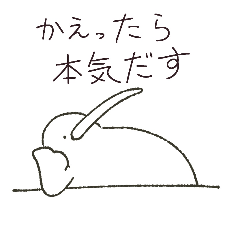 ふざけているキーウィ パーカー(全3種)