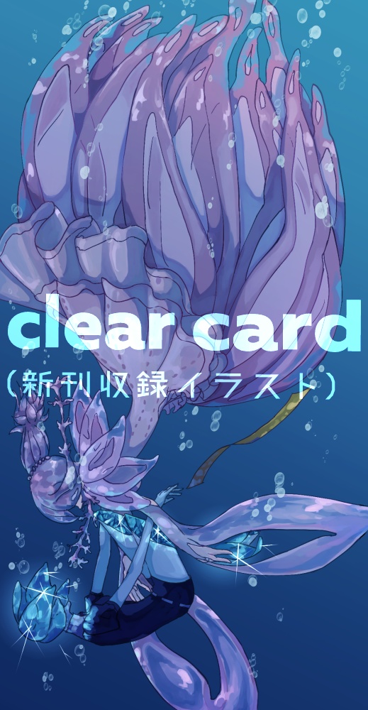 Calistephus Chinensis