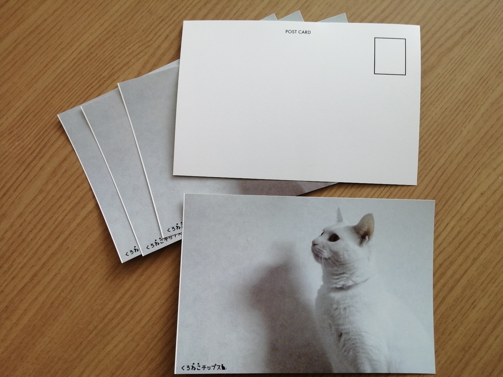 b070 白猫プロジェクト ポストカード 東急ハンズ 限定ノベルティ 全種◎ハルカ