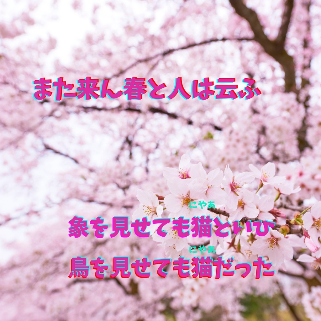 中原中也眼鏡拭き＆ポストカード　春