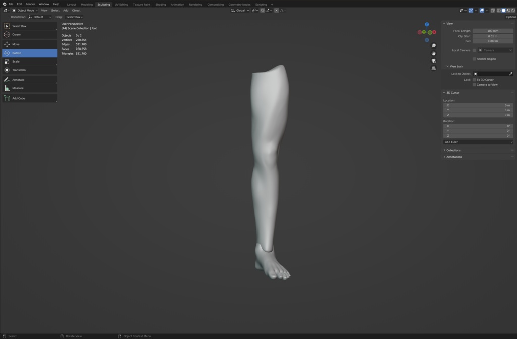 3Dモデル　左脚・左足ベース素材（スカルプト練習用）blenderファイル