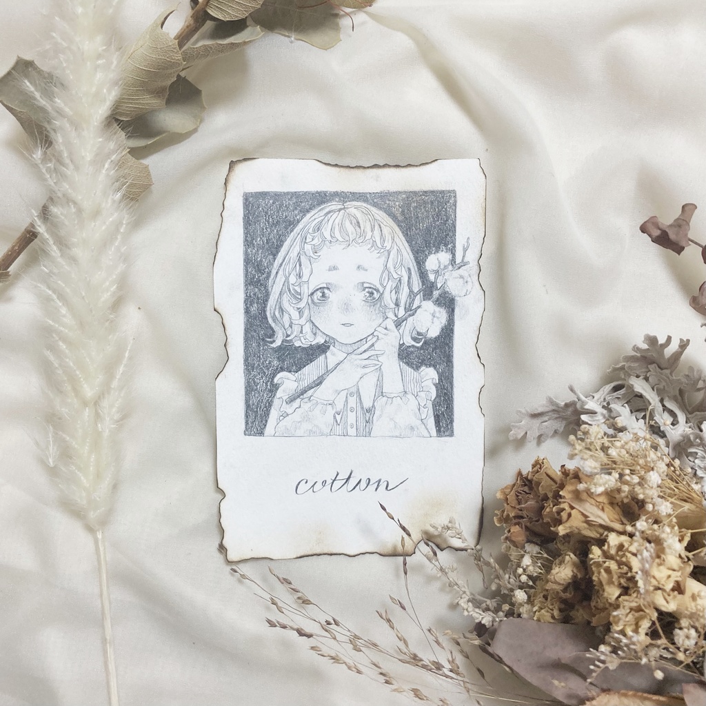 ドローイング 「cotton」