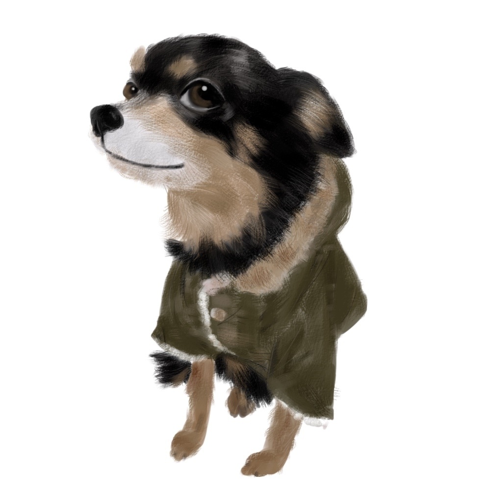 【サンプル】選べるお色 カラーTシャツ