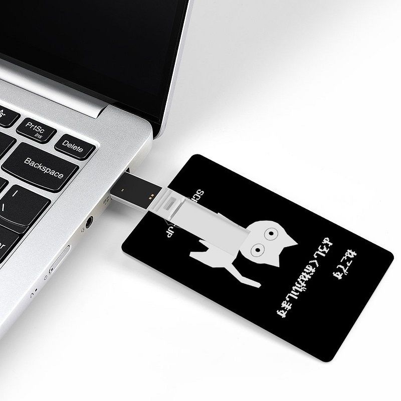 【SCP-040-JP】ネコです カード式USBメモリ