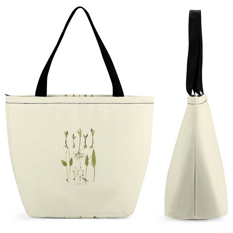 【植物】ハンドバッグ