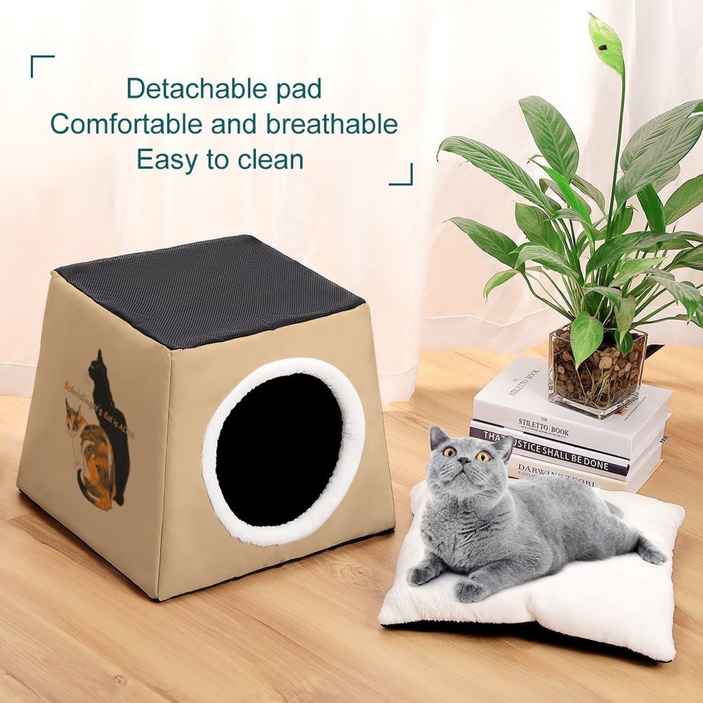 【可愛い猫】ペットハウス