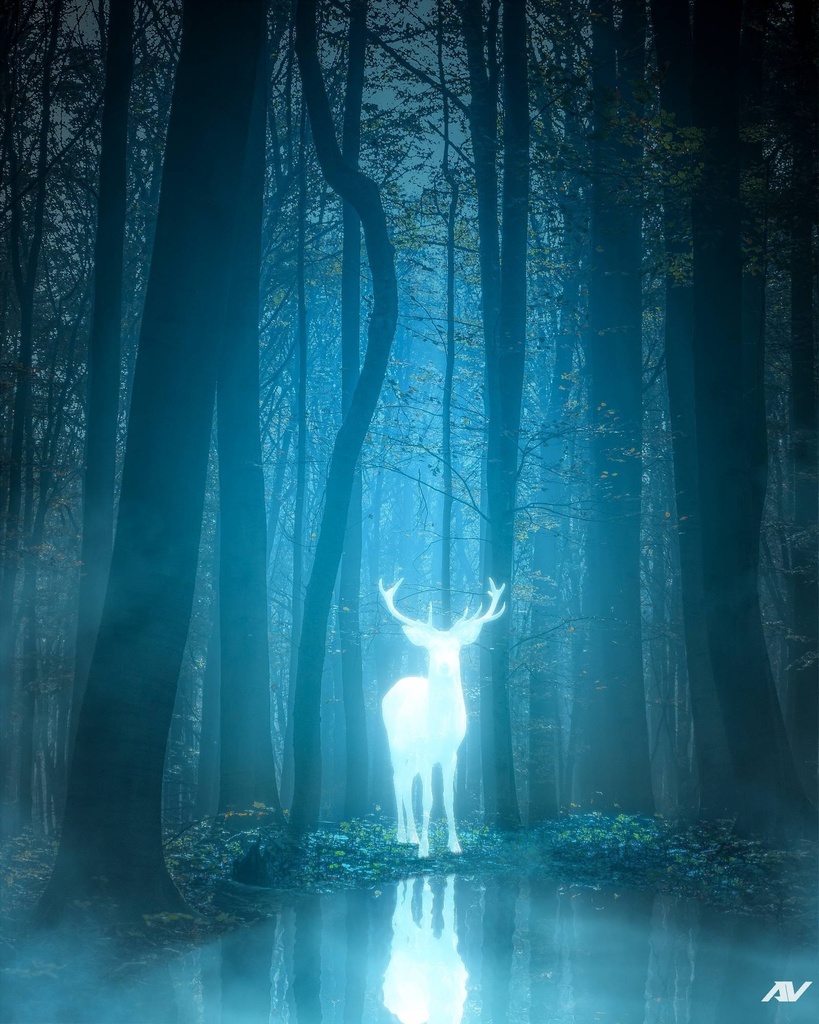 幻想壁紙『月光の道 - 白鹿の章』