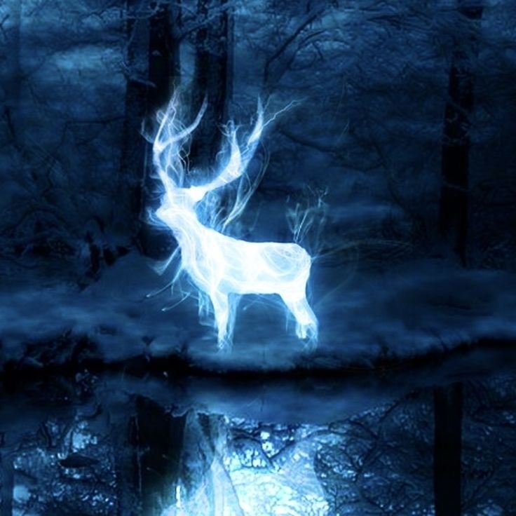 幻想壁紙『月光の道 - 白鹿の章』